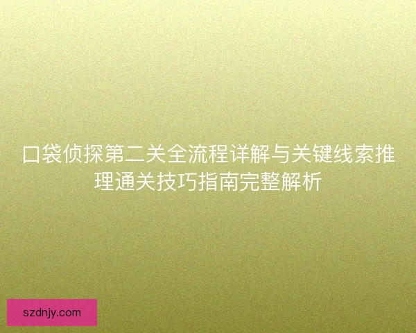 口袋侦探第二关全流程详解与关键线索推理通关技巧指南完整解析
